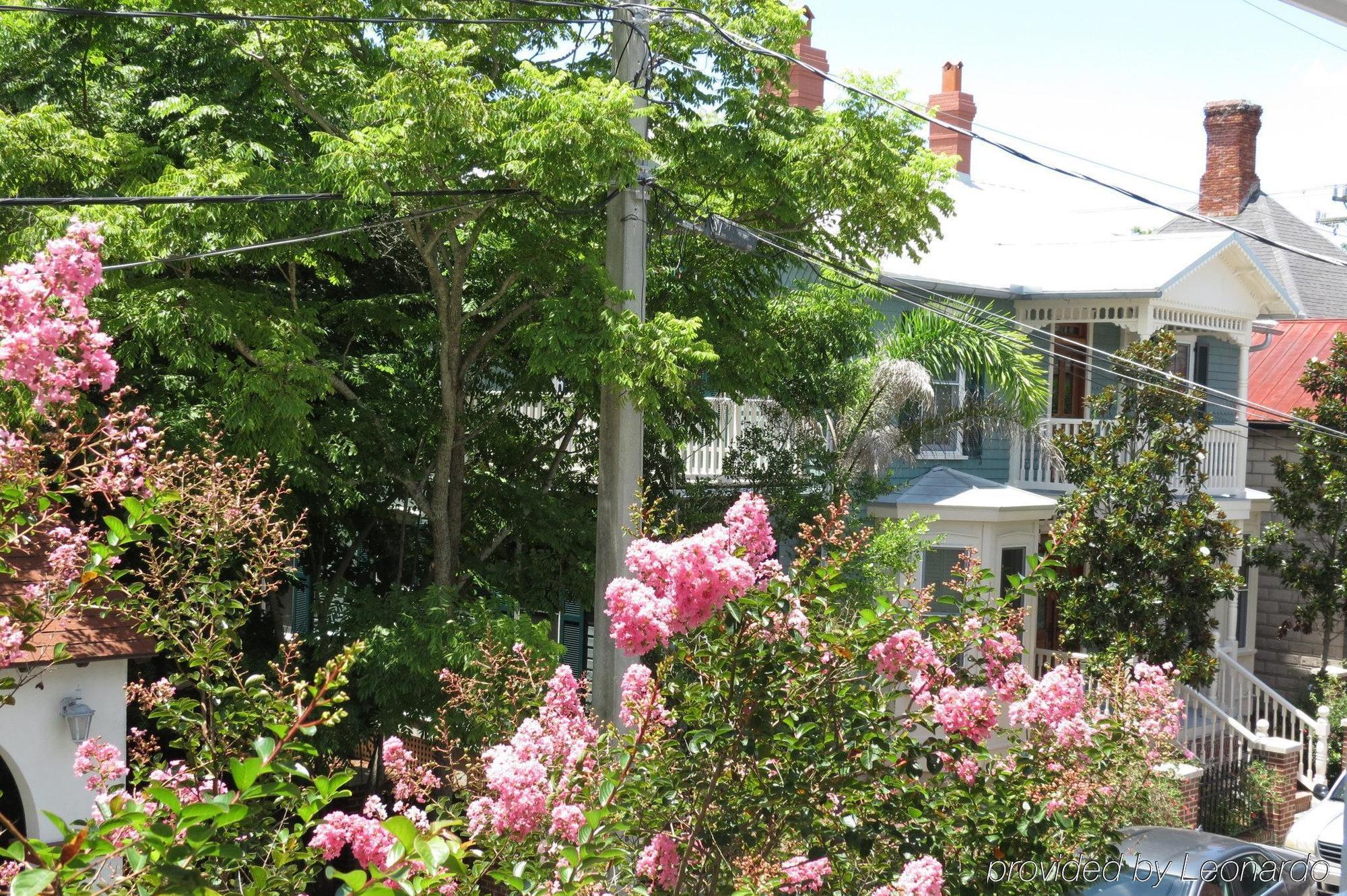 Bayfront Westcott House Bed & Breakfast セント・オーガスティン エクステリア 写真